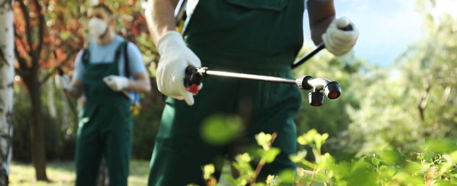 Sacramento Pest Control Companies & Exterminator Services