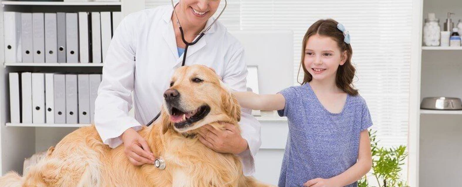 Sacramento Veterinary Clinics & Animal Hospitals